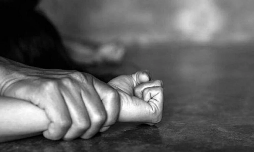 Βόρεια προάστια: Αστυνομικοί έσωσαν γυναίκα που κακοποιήθηκε από τον σύντροφό της - Ο διάλογος με το θύμα